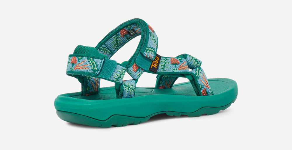 Sandalias Teva Hurricane XLT 2 Niños Azules | México-1639